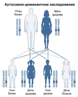 Аутосомно-доминантный тип наследования