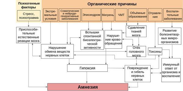 Развитие амнезии