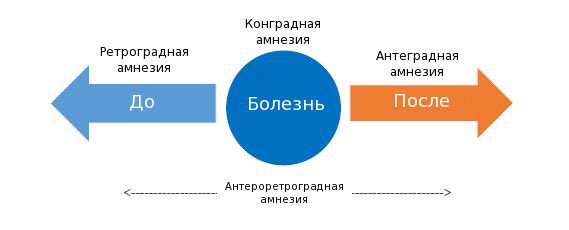 Виды амнезии по периоду утраченной памяти