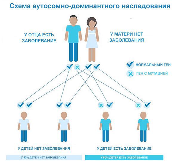 Аутосомно-доминантный тип наследования