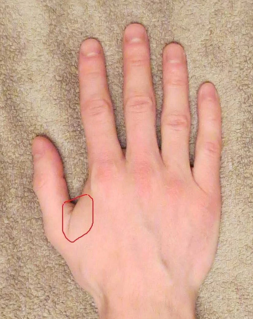 Короткие пальцы у мужчины. Мужская рука. Мужские пальцы.