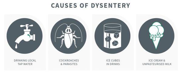 Причины развития дизентерии