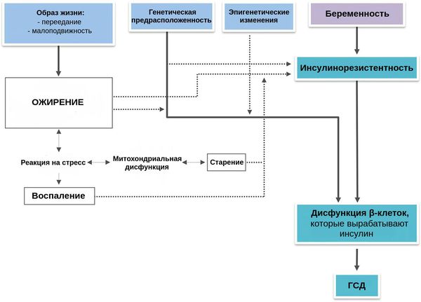 Факторы, лежащие в основе ГСД