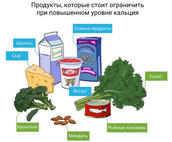 Продукты с большим содержанием кальция