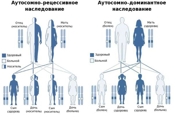 Варианты наследования заболевания