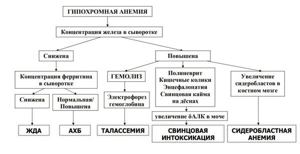 Алгоритм диагностики гипохромных анемий