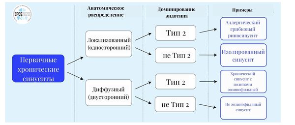 Классификация первичных синуситов