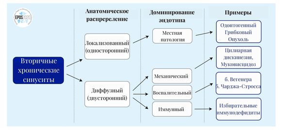 Классификация вторичных синуситов