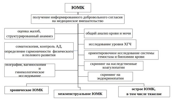 Алгоритм обследования девочек с ювенильным маточным кровотечением 