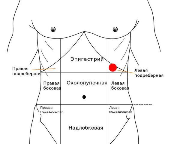 Области живота