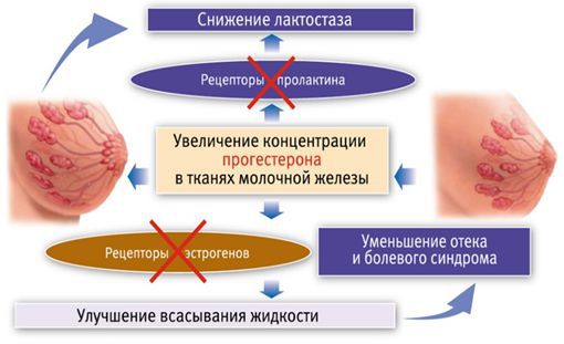 Действие геля с прогестероном