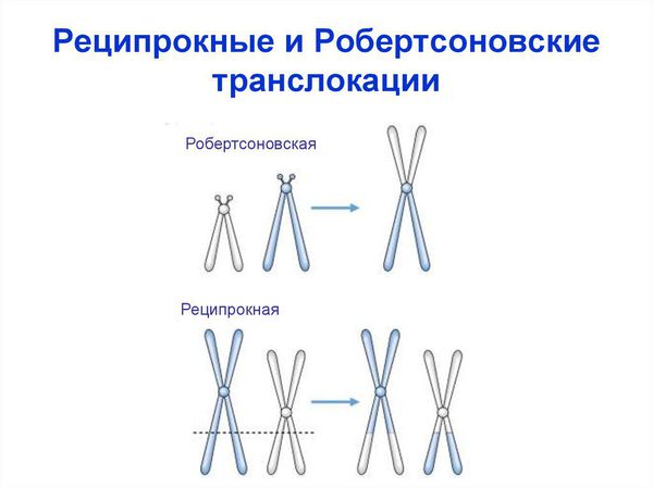 Хромосомные транслокации