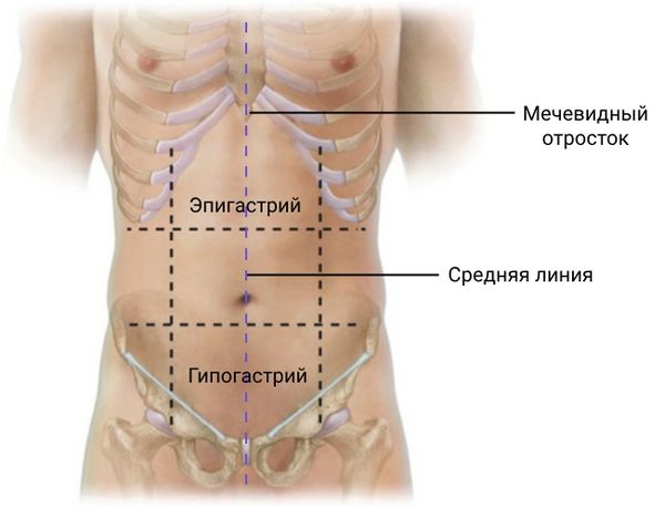 Расположение эпигастрия, гипогастрия, средней линии и мечевидного отростка