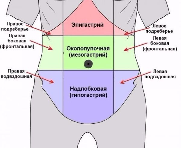 Расположение эпигастрия