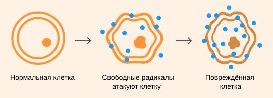 Оксидативный стресс