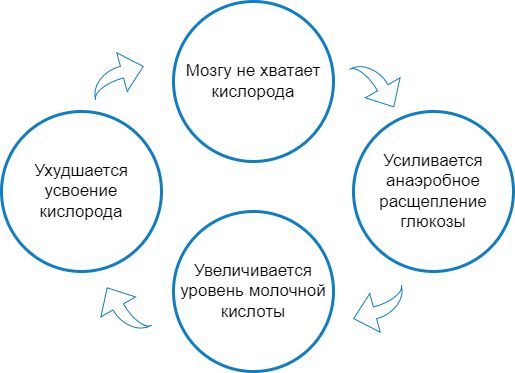 Биохимическая основа астенического синдрома 