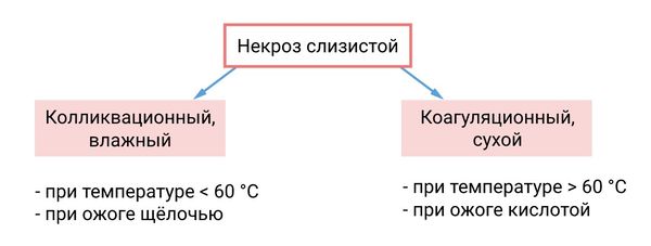 Виды некроза