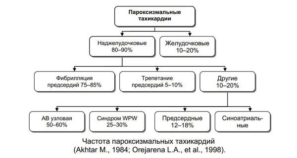 Частота пароксизмальных тахикардий 