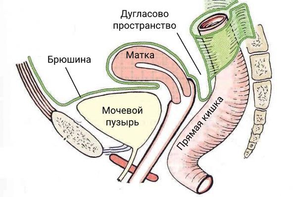 Дугласово пространство