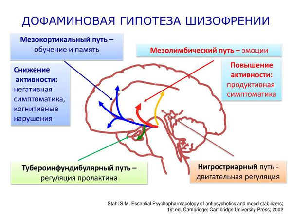 Дофаминовая гипотеза шизофрении