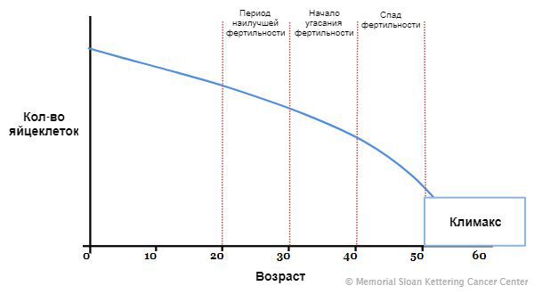 Изменение количества яйцеклеток в зависимости от возраста женщины