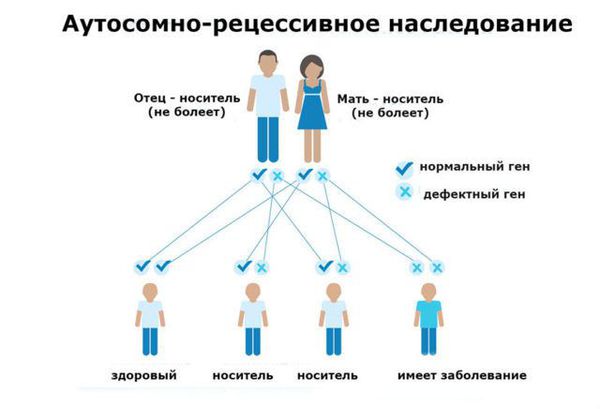 Аутосомно-рецессивный тип наследования