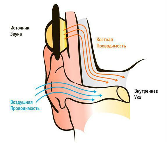 Костная и воздушная проводимость