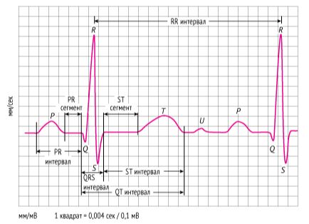 Нормальная ЭКГ' data-blur='False