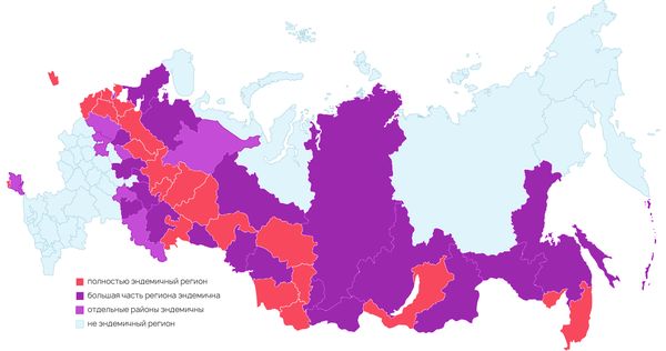 Зоны распространения клещевого энцефалита в 2022 году 