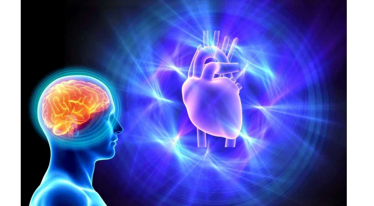 Как психологическое состояние влияет на здоровье сердца
