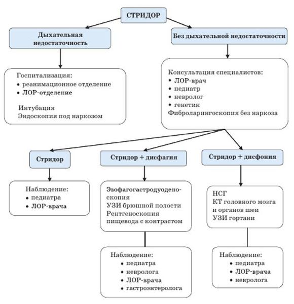 Алгоритм наблюдения ребенка с врождённым стридором