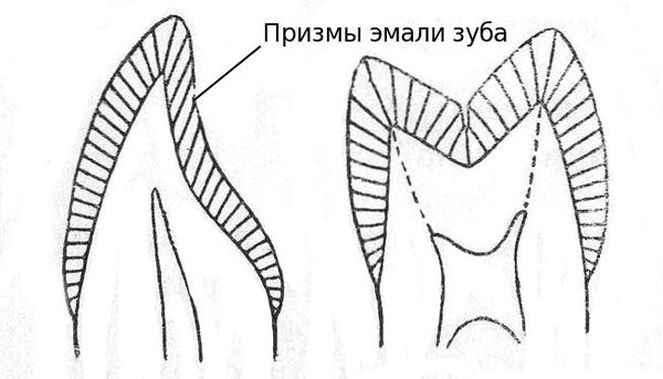 Призмы эмали